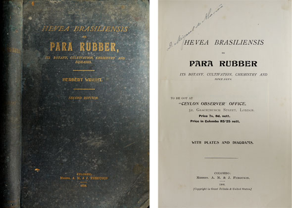 Hevea Brasiliensis or Para Rubber. Its botany, cultivation, chemistry and …