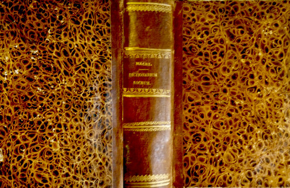 Hierolexicon sive Sacrum Dictionarium. In quo Ecclesiasticae Voces earumque Etymologiae, …