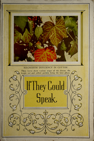 If they could speak. Characteristics symptoms of plant food deficiences …