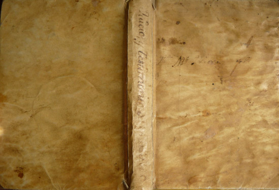 Juicio y testimonios legítimos sobre el Instituto y Ministerios de …