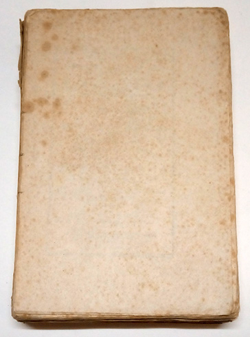 Juventud, egolatría.