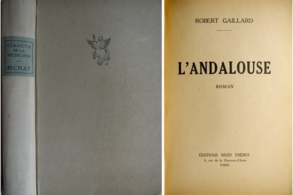 L'Andalouse. Roman.