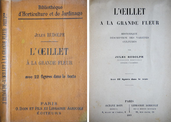 L'Oeillet à la grande fleur. Historique, description des variétés et …