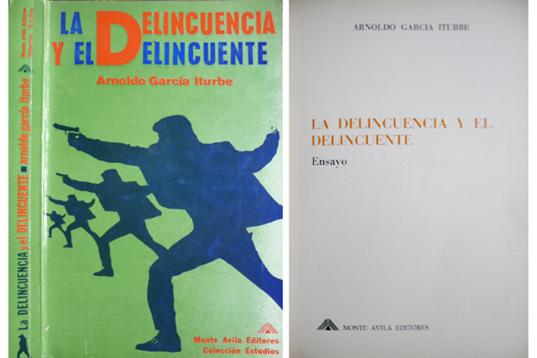 La Delincuencia y el Delincuente. Ensayo.