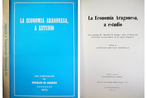 La economía aragonesa, a estudio. Una encuesta de "Heraldo de …