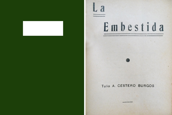 La Embestida. Poemas.