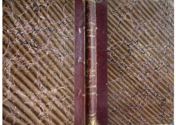 La France et l'Angleterre comparées sous le rapport des Industries …