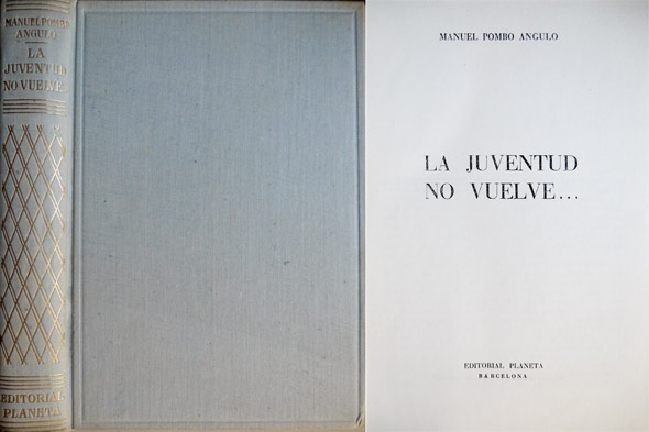 La juventud no vuelve. Novela de la guerra.