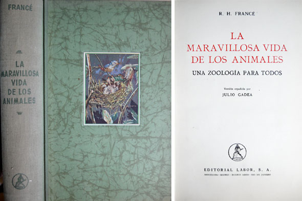 La maravillosa vida de los animales. Una zoología para todos. …