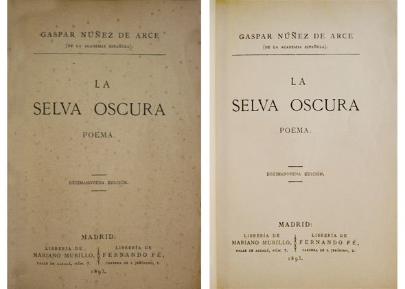 La Selva Oscura. Poema.