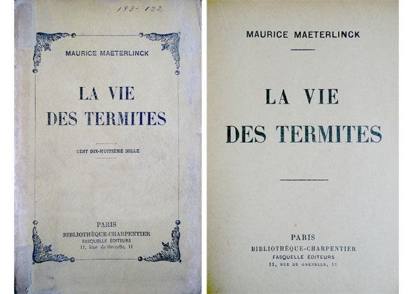 La vie des Termites.