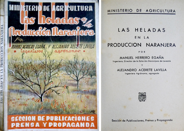 Las heladas en la producción naranjera.