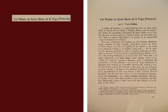 Las ruinas de Santa María de la Vega (Palencia).