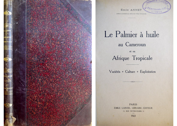 Le Palmier à Huile au Cameroun et en Afrique Tropicale. …