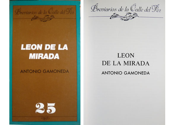 León de la mirada.