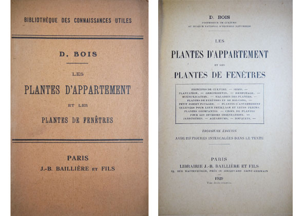 Les Plantes d'Appartement et les Plantes de Fenêtres.