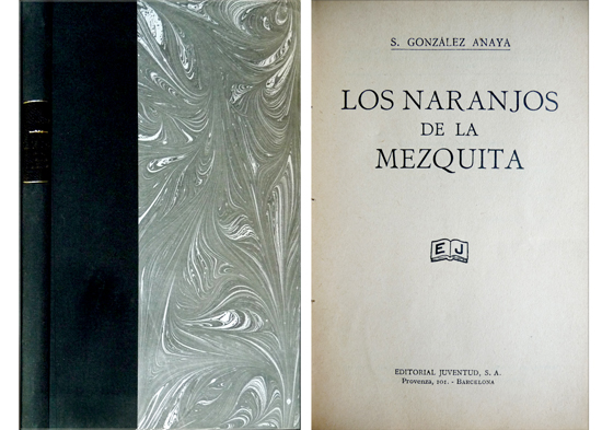Los naranjos de la mezquita. Novela.