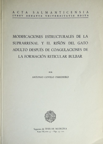Modificaciones estructurales de la suprarenal y el riñón del gato …