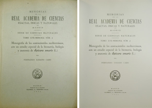 Monografía de los Centracántidos Mediterráneos, con un estudio especial de …