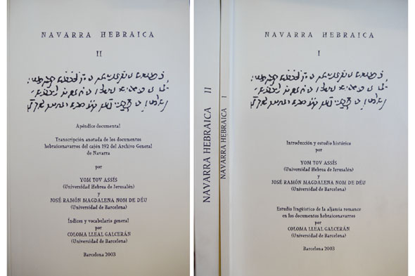Navarra Hebraica. Estudio lingüístico de la aljamía romance en los …