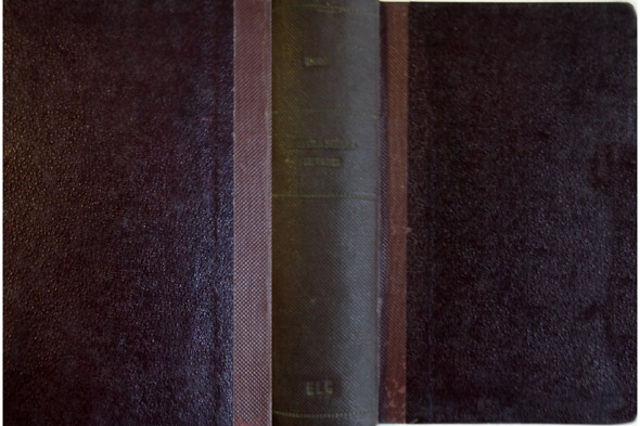 Nuestra Señora de Paris. Traducción de E. Gonzalez Fiol.