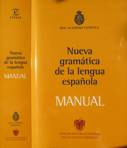 Nueva Gramática de la Lengua Española. Manual.