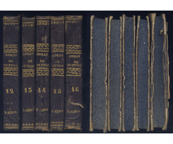 Obras completas de Buffon, con suplementos de Cuvier. Traducidas al …
