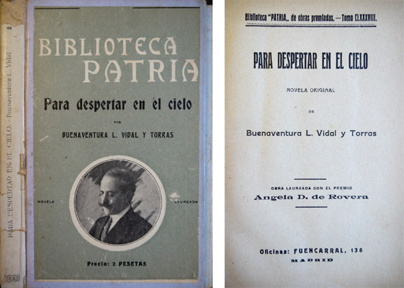 Para despertar en el cielo. Novela.