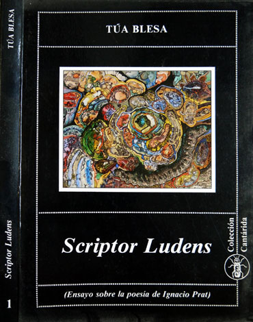 Scriptor Ludens. Ensayo sobre la poesía de Ignacio Prat.[1947-1982].