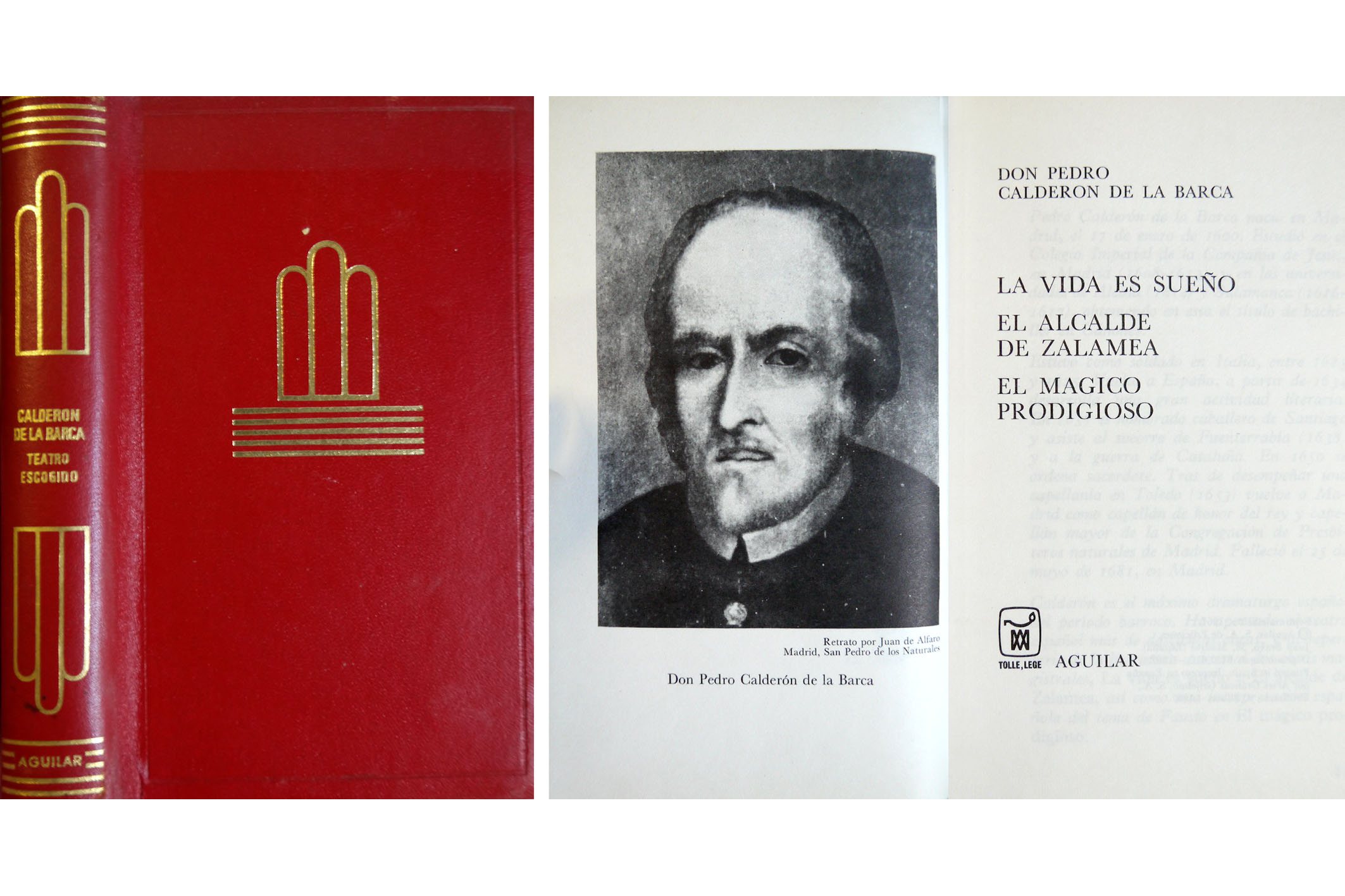 Teatro escogido: La vida es sueño. El Alcalde de Zalamea. …