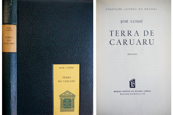 Terra de Caruaru. Romance.