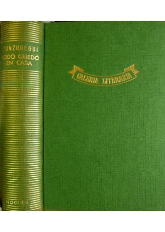 Todo quedó en casa. Novela.