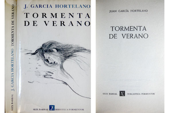 Tormenta de verano. Novela.
