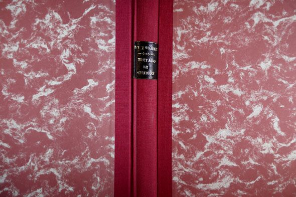 Tratado de Cambios, Patricio, Nacional y Estrangero. Obra póstuma que …