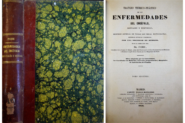 Tratado Teórico-Práctico de las Enfermedades del Encéfalo, Mentales y Nerviosas …