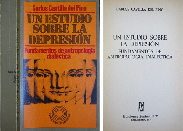 Un estudio sobre la depresión. Fundamentos de antropología dialéctica.