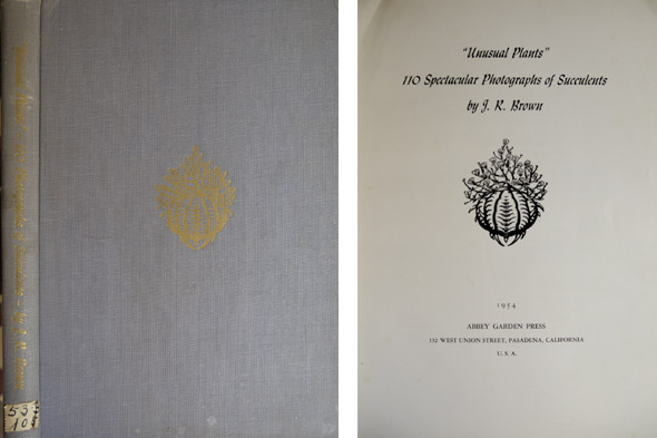 Unusual Plants: Spectacular photographs of Succulents.