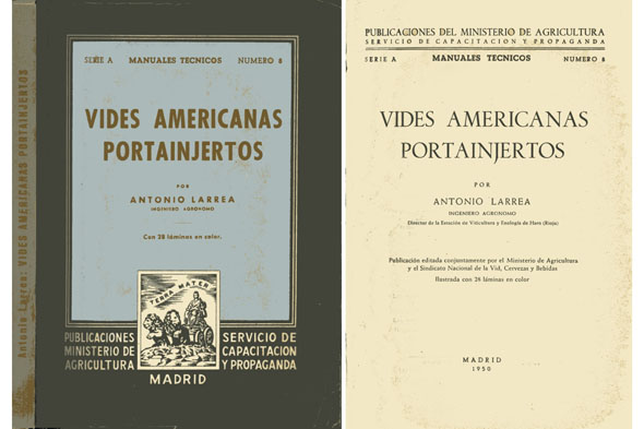 Vides americanas portainjertos.