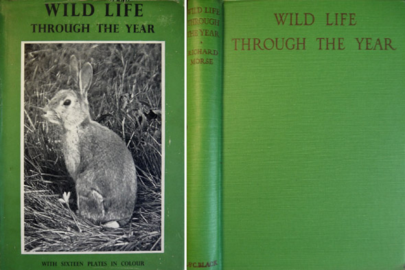 Wild life through the year.