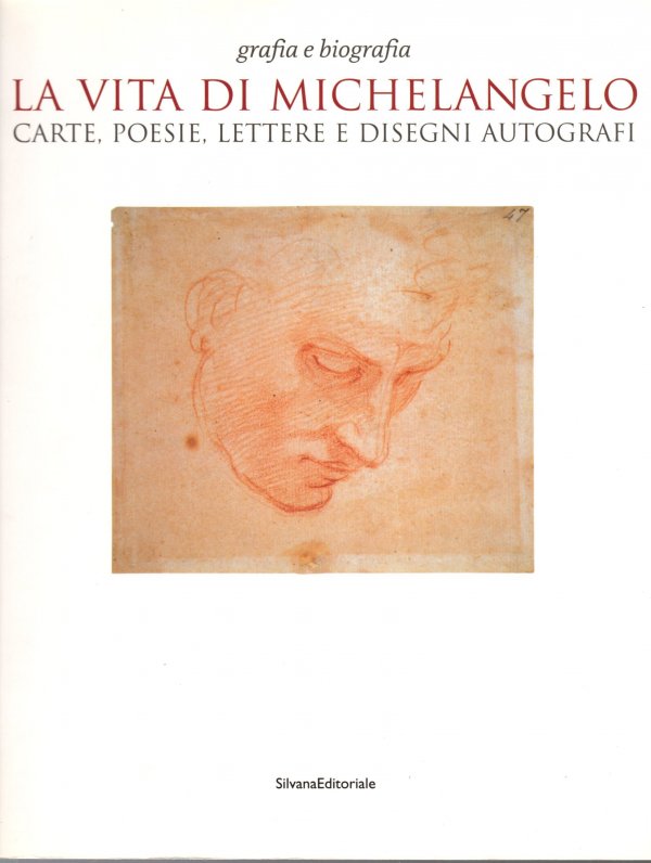 La vita di Michelangelo