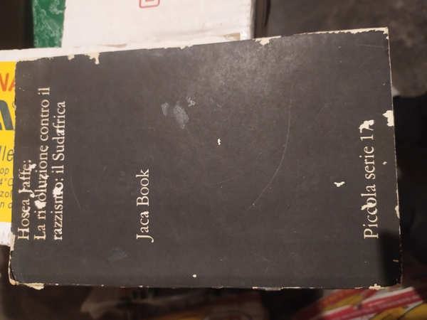 La rivoluzione contro il razzismo:il Sudafrica