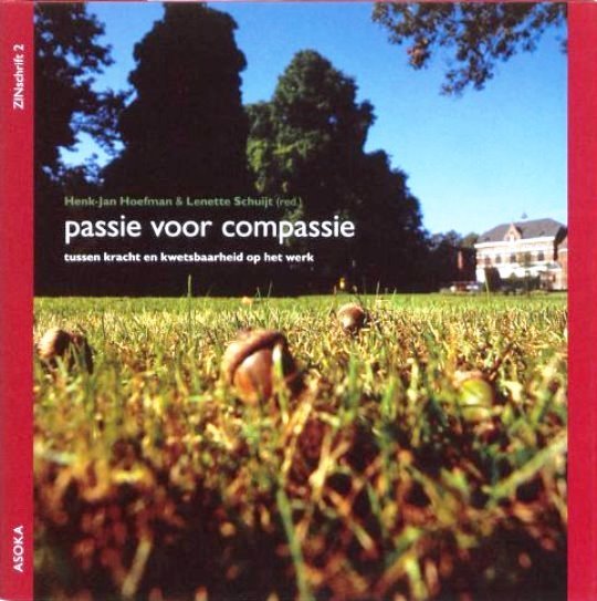 Passie voor compassie tussen kracht en kwetsbaarheid op het werk