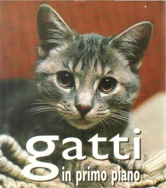 Gatti in primo piano