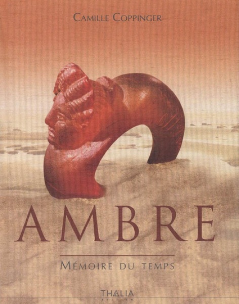 Ambre. Mémoire du temps