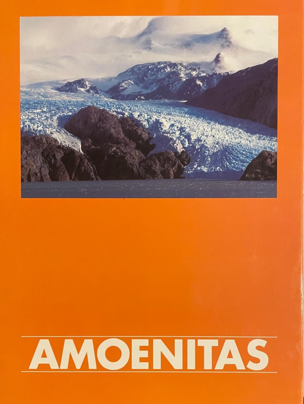 Amoenitas ETHICA HUMANA OPUS 99/2000 Bellezza/Competenza