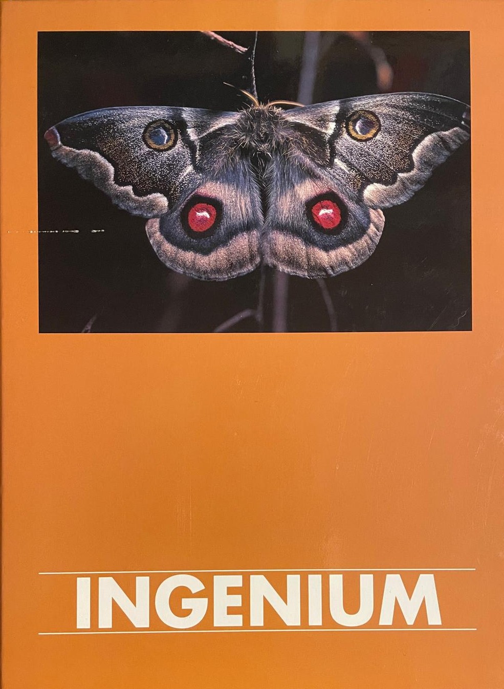 Ingenium Ethica Humana Opus 103 Lodi alla creatività