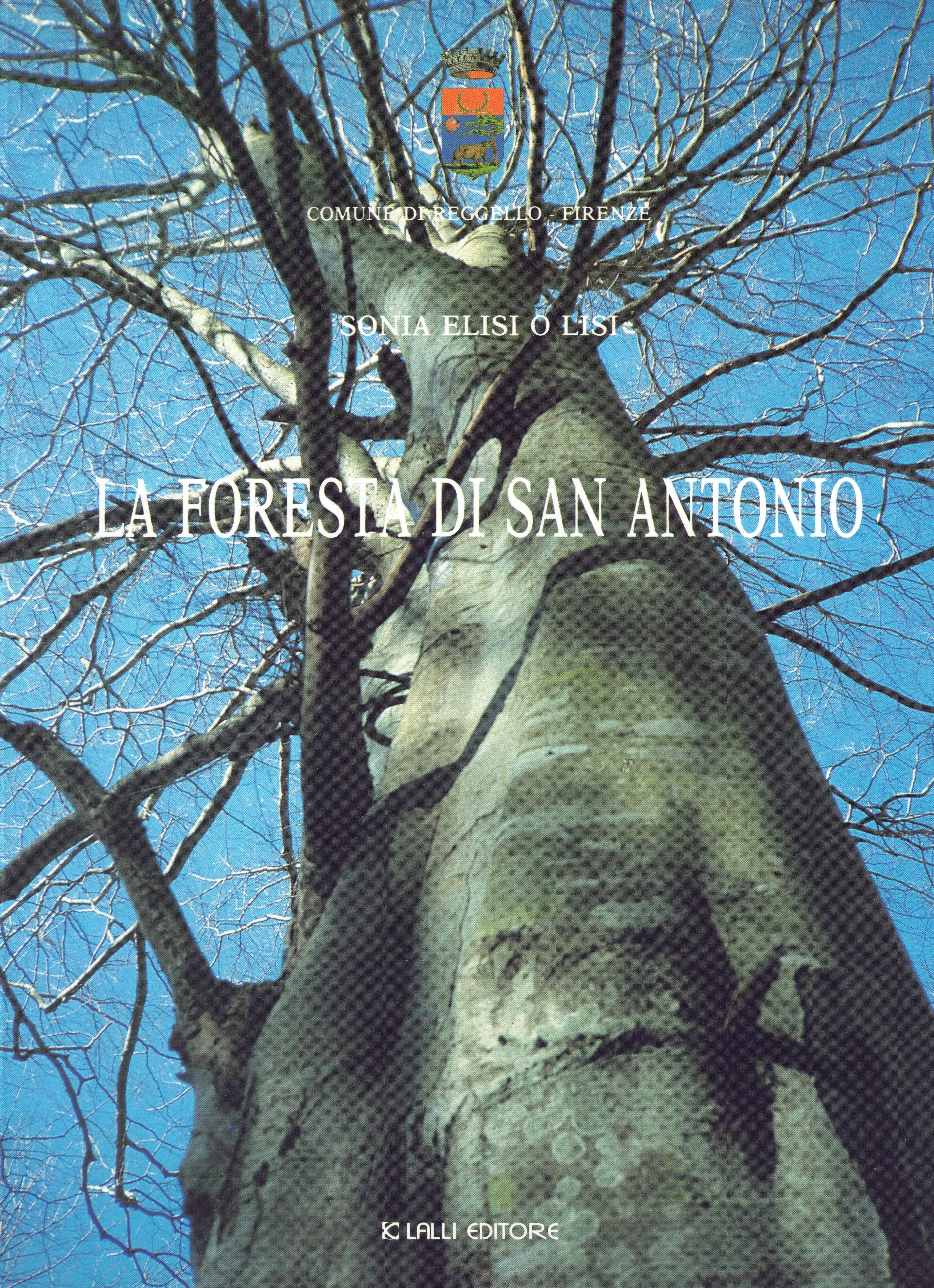La foresta di San Antonio