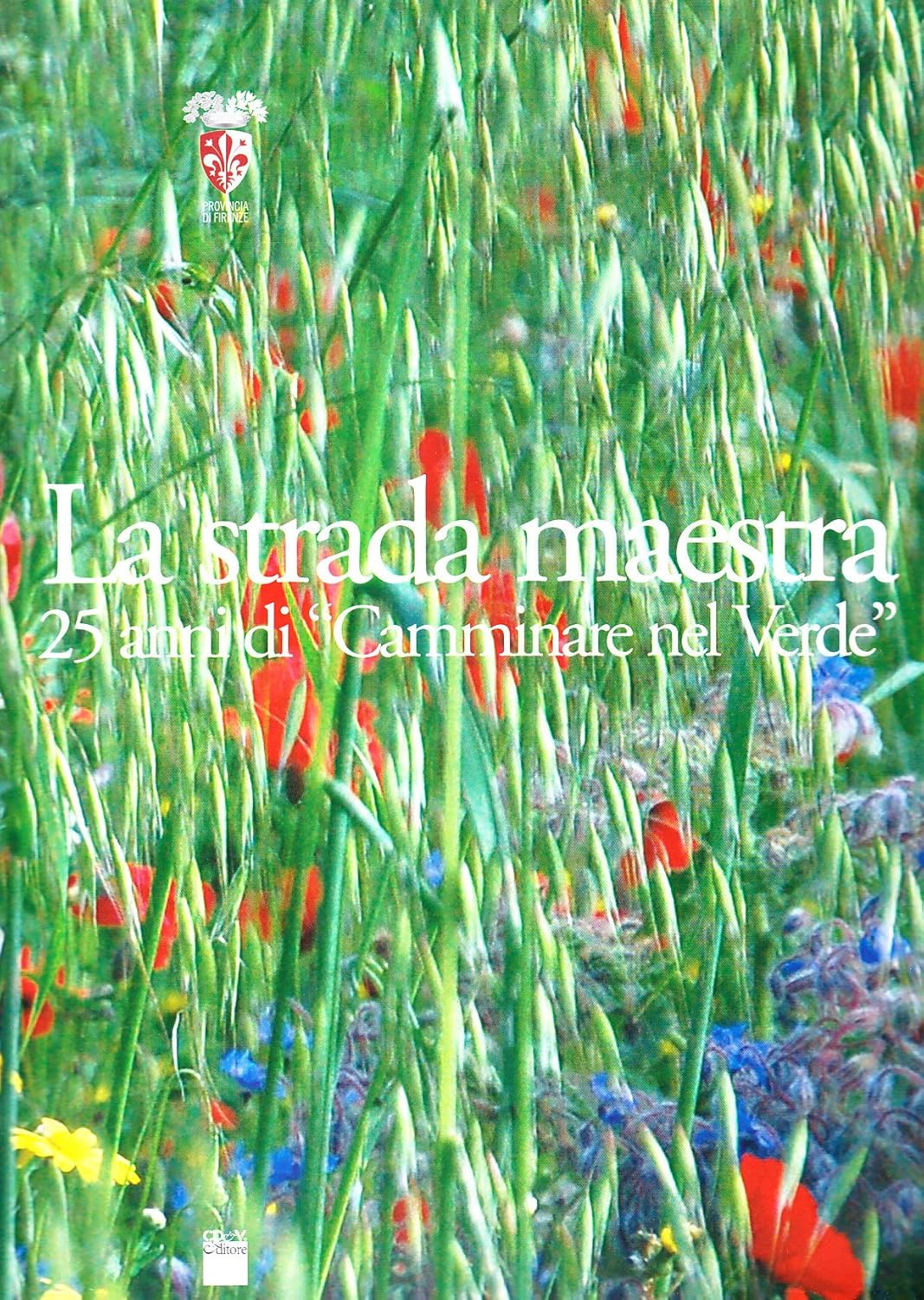 La strada maestra 25 anni di «Camminare nel verde»