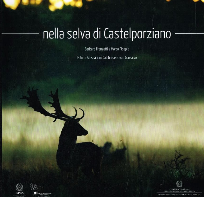 nella selva di Castelporziano