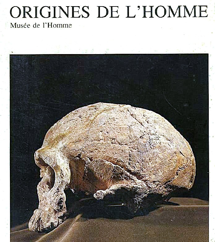 Origines de l'homme